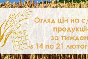 В Україні другий тиждень поспіль дешевшають кукурудза та ячмінь  — огляд за тиждень з 17 по 21 лютого