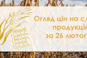 В Україні другий день поспіль дешевшає соняшник — огляд цін на с/г продукцію за 26 лютого
