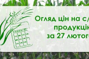 Ціни на кукурудзу в Україні продовжують знижуватись — огляд цін на с/г продукцію за 27 лютого