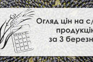 В Україні знизились закупівельні ціни на соняшник та кукурудзу — огляд за 3 березня