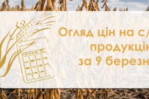 Кукурудза та пшениця подорожчали — огляд цін на с/г продукцію за 9 березня