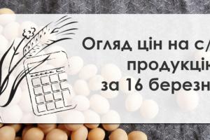 В Україні зросли закупівельні ціни на кукурудзу — огляд за 16 березня