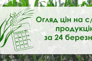 В Україні подорожчали ячмінь, кукурудза та пшениця  — огляд цін на с/г продукцію за 24 березня