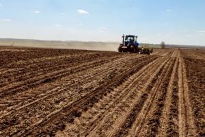 На Рівненщині розпочато посів кукурудзи та соняшника