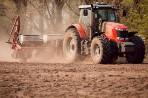 На Чернігівщині зерновими та зернобобовими засіяно 22% площ