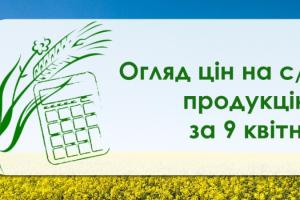 В Україні зросли закупівельні ціни на соняшник та ячмінь  — огляд за 9 квітня