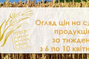 Як змінилися ціни на зернові та олійні в Україні — огляд за тиждень з 6 по 10 квітня