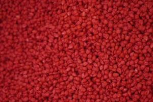АБА АСТРА пропонує насіння кукурудзи KWS зі знижкою 40%