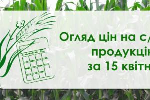В Україні подорожчали олійні  — огляд цін на с/г продукцію за 15 квітня