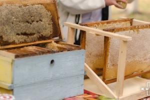 Пасічники Одещини прогнозують недобір меду