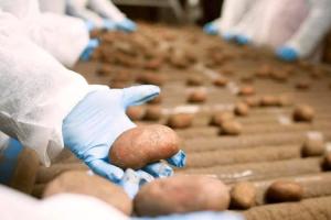 На Черкащині висадили 100 га чипсових сортів картоплі