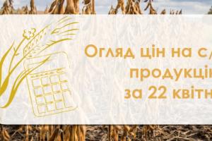 В Україні дорожчає соняшник — огляд цін на с/г продукцію за 22 квітня