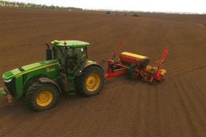 Українські фермери збільшать площі під гречкою