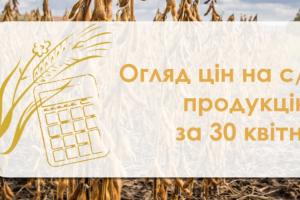 Кукурудза продовжує дешевшати — огляд цін на с/г продукцію за 30 квітня