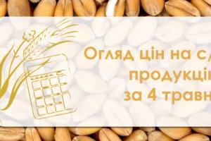 В Україні почала дорожчати кукурудза — огляд цін на с/г продукцію за 4 травня