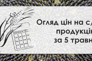 В Україні зросли закупівельні ціни на соняшник — огляд за 5 травня