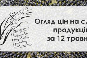 В Україні подешевшала пшениця, ціна кукурудзи зросла — огляд за 12 травня
