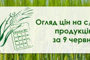 В Україні подешевшали олійні — огляд цін на с/г продукцію за 9 червня