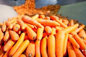 В Україні очікується низький урожай ранньої моркви