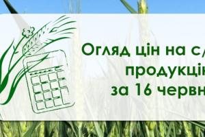 Як змінились ціни на зернові та олійні в Україні — огляд за 16 червня