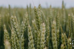 Учасники зернового ринку та Мінекономіки підписали меморандум щодо експорту зернових на 2020/2021 МР
