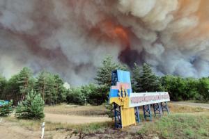 Масштабна пожежа на Луганщині загрожує фермерським полям
