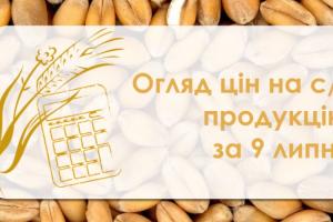 В портах України дорожчає зерно — огляд цін на с/г продукцію за 9 липня