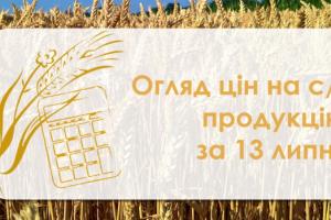 В Україні подешевшала кукурудза — огляд цін на с/г культури за 13 липня