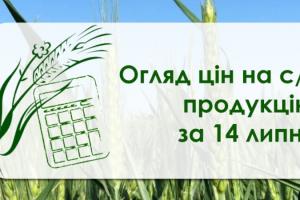 В Україні продовжує дорожчати пшениця — огляд цін на с/г культури за 14 липня