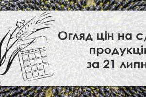 В портах України росте ціна ріпаку — огляд за 21 липня