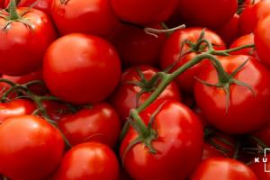 Україна наростила імпорт огірків та томатів