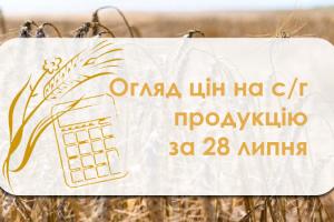 Пшениця продовжує рости в ціні — огляд за 28 липня