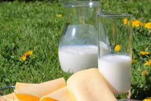 Експорт української молочної продукції зменшився на чверть