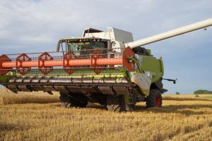 В Україні зібрано 27 млн тонн зерна
