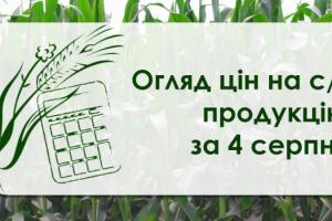 Фуражна пшениця подорожчала — огляд цін на с/г продукцію за 4 серпня