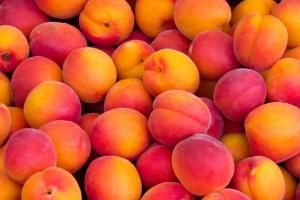 На Закарпатті фермери автоматизували доставку персиків з гірських садів