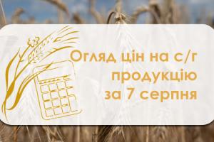 В Україні подешевшала пшениця 2 класу — огляд цін на с/г продукцію за 7 серпня
