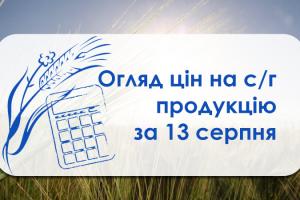 Фуражна пшениця продовжує дешевшати — огляд цін на с/г продукцію за 13 серпня