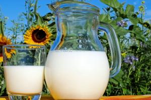 В Україні обсяги переробки молока зростати не будуть