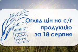 В портах України продовжує дешевшати пшениця — огляд цін на с/г продукцію за 18 серпня