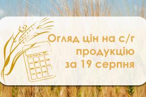 В Україні подорожчав ячмінь — огляд цін на с/г продукцію за 19 серпня