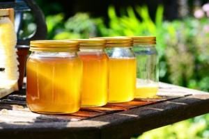 Дохід від продажу меду зменшився — пасічники