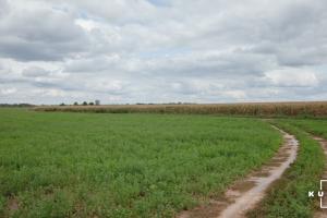 На Хмельниччині прокуратура повернула 500 га землі, яку неправомірно віддали фермеру зі Львівщини