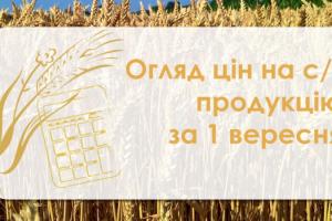 Ціни на пшеницю та ячмінь ростуть — огляд за 1 вересня