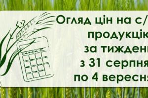 Як змінились ціни на зернові та олійні в Україні — огляд за тиждень з 31 серпня по 4 вересня 