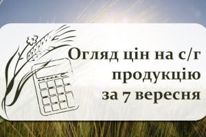 В портах України дорожчає зерно — огляд цін на с/г продукцію за 7 вересня