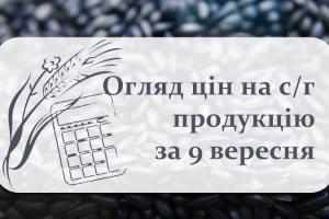 В портах України зросли ціни олійних культур — огляд за 9 вересня
