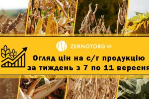 В портах України подорожчали зернові та олійні — огляд цін на с/г продукцію за тиждень з 7 по 11 вересня 