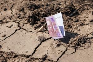 Збитки від посухи в Україні перевищують 6,5 млрд грн