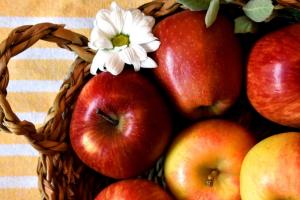 Ціни на яблука впали до найнижчих показників за останні 5 років